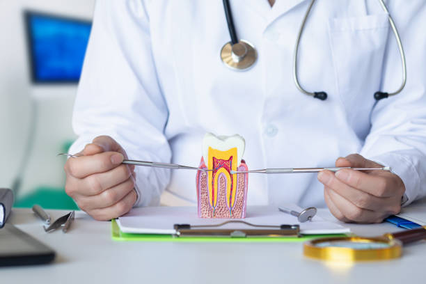 Best Emergency Dental Care for Broken or Chipped Teeth in Terrell Hills, TX